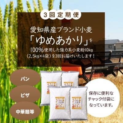 【小麦粉】愛知県産ゆめあかりパン用 強力粉 2.5kg×4袋(計10kg) 定期3回H008-253