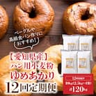 【小麦粉】愛知県産 ゆめあかり 国産 パン用強力粉 2.5kg×4袋 定期便12回 H008-257