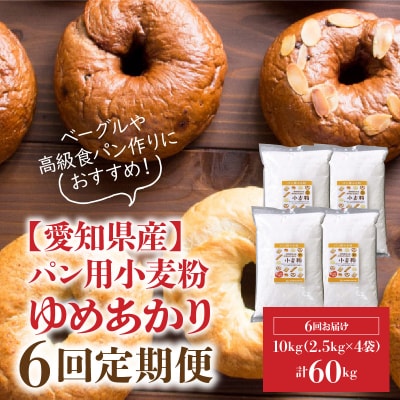 【小麦粉】愛知県産 ゆめあかり パン用 強力粉 2.5kg×4袋　定期便6回 H008-258