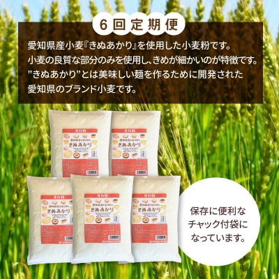 【小麦粉】愛知県産 きぬあかり 国産 薄力粉 1kg×5袋(計5kg) 定期便6回　H008-260