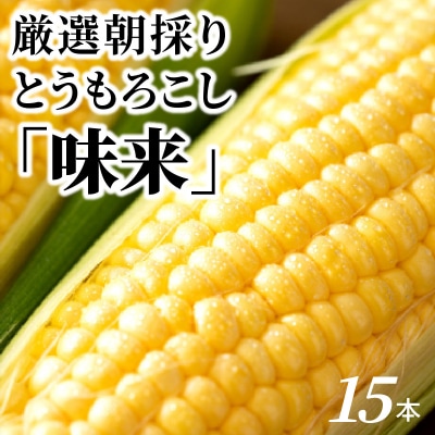 厳選朝採り とうもろこし(スイートコーン)「味来」 15本　H017-092