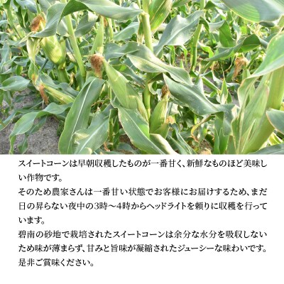 厳選朝採り とうもろこし(スイートコーン)「味来」 15本　H017-092