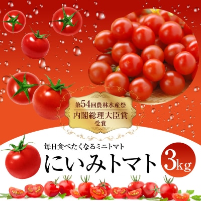 【第54回内閣総理大臣賞受賞】毎日食べたくなるミニトマト3kg H031-005