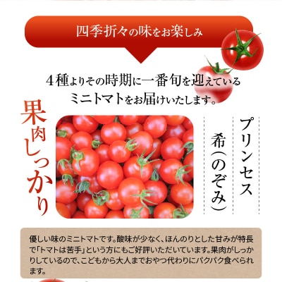 【第54回内閣総理大臣賞受賞】毎日食べたくなるミニトマト3kg H031-005