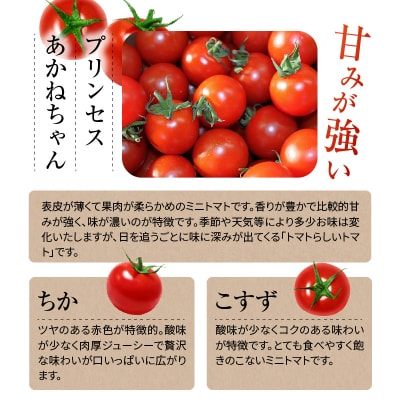【第54回内閣総理大臣賞受賞】毎日食べたくなるミニトマト3kg H031-005