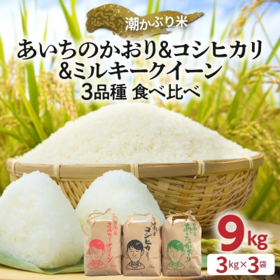 【潮かぶり米】令和6年産 3品種食べ比べセット 9kg(3kg×3袋) 　H073-008