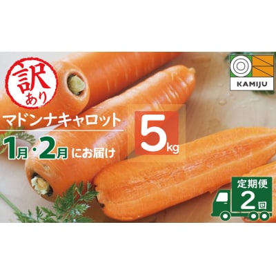 訳あり 2回定期便 にんじん 1月2月お届け マドンナキャロット H105-163
