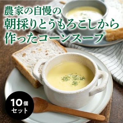 農家の自慢の朝採りとうもろこしから作ったコーンスープ10個セット　H132-025
