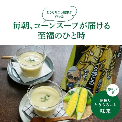農家の自慢の朝採りとうもろこしから作ったコーンスープ10個セット　H132-025