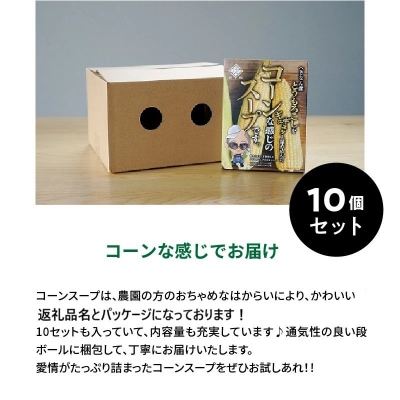 農家の自慢の朝採りとうもろこしから作ったコーンスープ10個セット　H132-025
