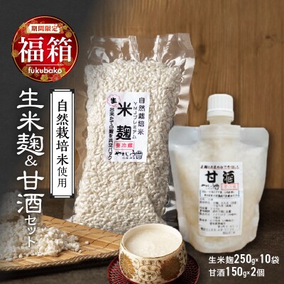 【福箱★2025】新鮮・生米麹 250g×10袋ストレート甘酒150g×2個 H140-035