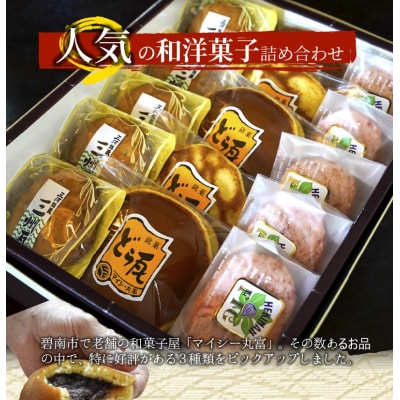 和菓子・洋菓子詰め合わせセット(どら焼き・ダックワーズ・クッキーまんじゅう)　H149-011