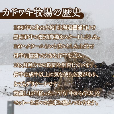 黒毛和牛 カドワキ牛 サーロイン ステーキ 2枚 200～220g/枚【冷凍】 TYUAE004