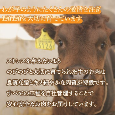 北海道 黒毛和牛 カドワキ牛 モモ スライス 1.05～1.1kg【冷凍】 TYUAE008