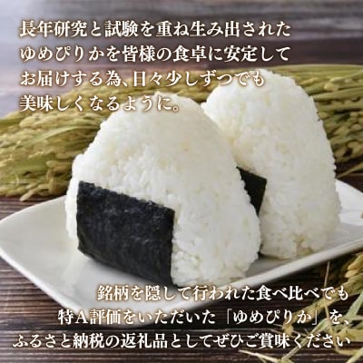 【定期配送10ヵ月】ホクレン ゆめぴりか 精米6kg(2kg×3) TYUA017