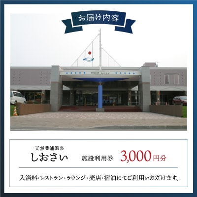 【天然豊浦温泉しおさい】施設利用券 3,000円分 TYUAA003