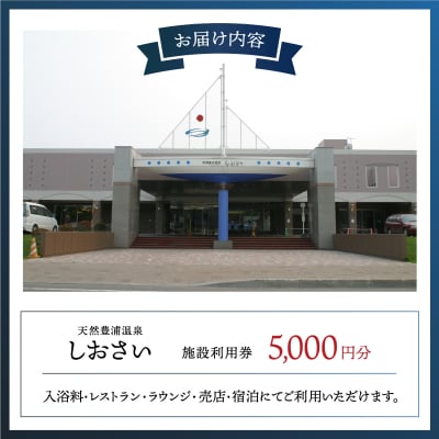 【天然豊浦温泉しおさい】施設利用券 5,000円分 TYUAA004
