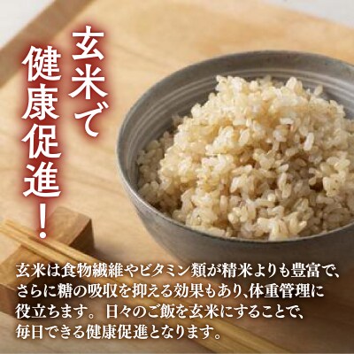 【令和6年産 隔月配送3ヵ月】ホクレン ゆめぴりか 玄米12kg(3kg×4) TYUA050