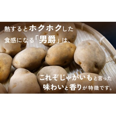 豊浦産じゃがいも 男爵 10kg M-Lサイズ 農園直送 TYUU004