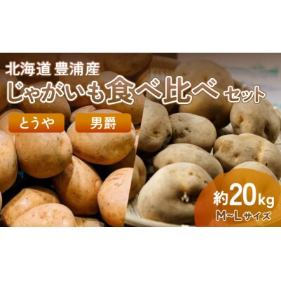 豊浦産じゃがいも とうや 男爵 食べ比べ セット 20kg M-Lサイズ 農園直送 TYUU003