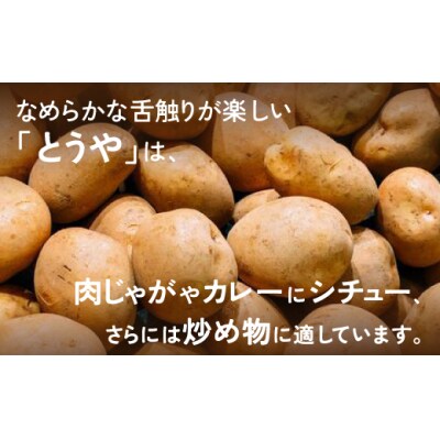 豊浦産じゃがいも とうや 男爵 食べ比べ セット 20kg M-Lサイズ 農園直送 TYUU003