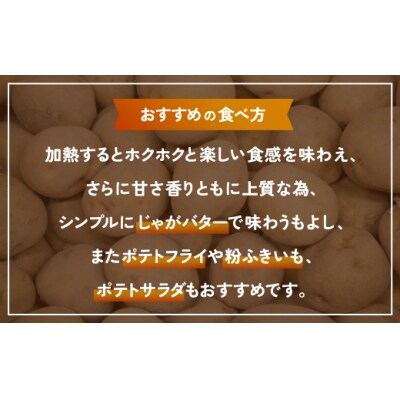 豊浦産じゃがいも 北あかり 10kg M-Lサイズ 農園直送 TYUU006