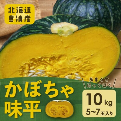 北海道 豊浦産 かぼちゃ 味平 約10kg 5～7玉入り TYUH004