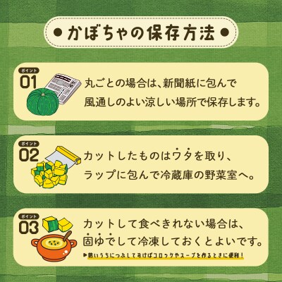 北海道 豊浦産 かぼちゃ 味平 約10kg 5～7玉入り TYUH004