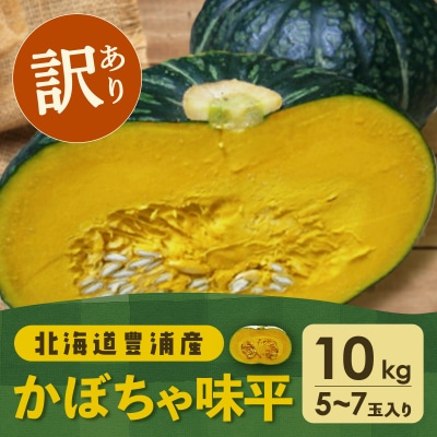 【訳あり】北海道 豊浦産 かぼちゃ 味平 約10kg 5～7玉入り TYUH006