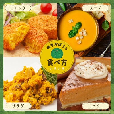 【訳あり】北海道 豊浦産 かぼちゃ 味平 約10kg 5～7玉入り TYUH006