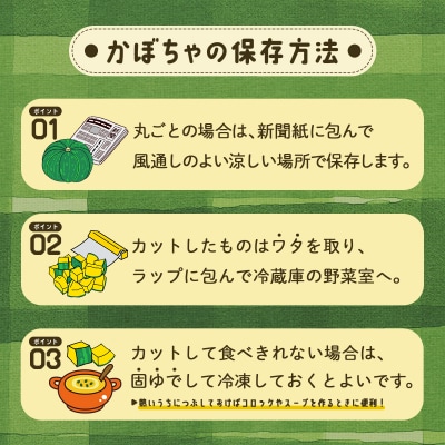 【訳あり】北海道 豊浦産 かぼちゃ 味平 約10kg 5～7玉入り TYUH006