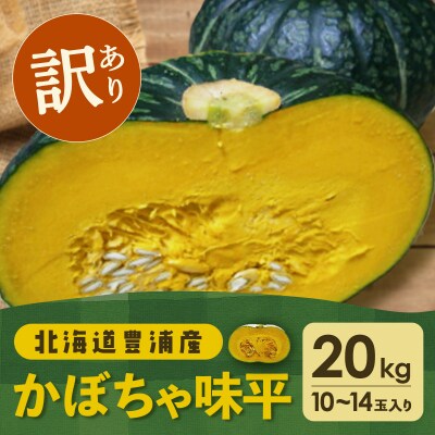 【訳あり】北海道 豊浦産 かぼちゃ 味平 約20kg 10～14玉入り TYUH007