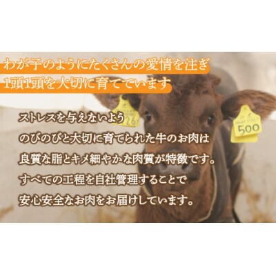 北海道 黒毛和牛 カドワキ牛 モモ スライス 400g～450g【冷蔵】 TYUAE009