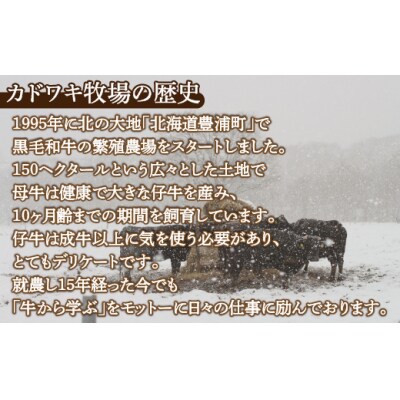 北海道 黒毛和牛 カドワキ牛 サーロイン ステーキ 2枚【冷蔵】 TYUAE003