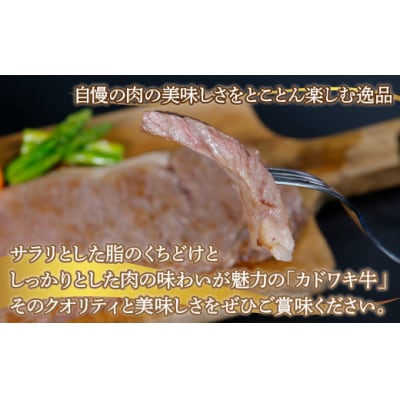 北海道 黒毛和牛 カドワキ牛 サーロイン ステーキ 2枚【冷蔵】 TYUAE003