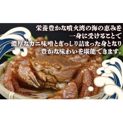 ※先行受付【地元現役漁師が厳選】活毛ガニ 2尾 (1尾600～700g)毛ガニ 冷蔵 TYUR034