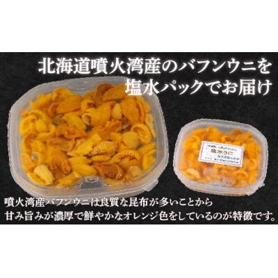 うに 塩水 バフンウニ80g×3 北海道 豊浦 噴火湾 雲丹【配送不可地域:離島】 TYUR018