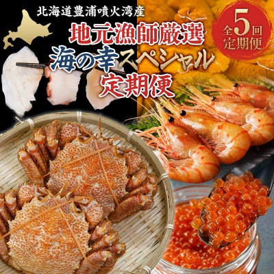 【定期便5回】地元漁師厳選 噴火湾産 海の幸 北海道 豊浦 TYUR028