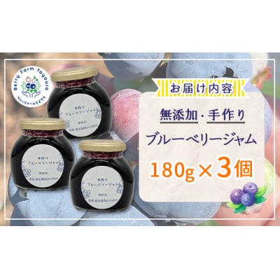 無添加手作り ブルーベリージャム180g×3 TYUS021