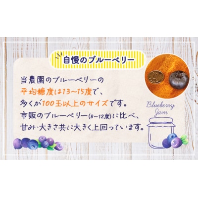 無添加手作り ブルーベリージャム180g×3 TYUS021