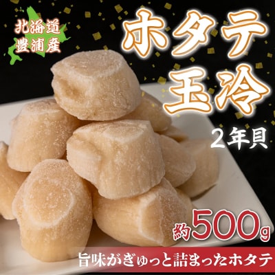 ホタテ 北海道 豊浦 噴火湾 礼文華 約500g 帆立 貝柱 2年貝 TYUAD002