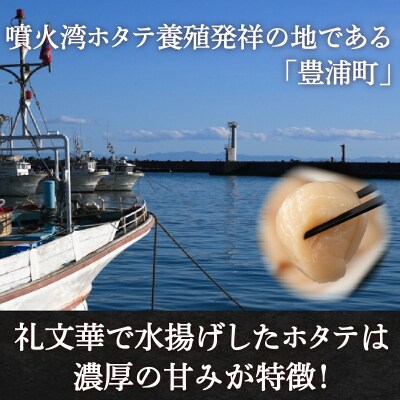 ホタテ 北海道 豊浦 噴火湾 礼文華 約500g 帆立 貝柱 2年貝 TYUAD002