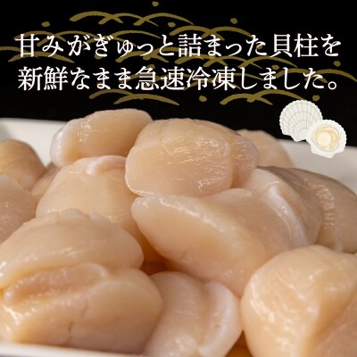 ホタテ 北海道 豊浦 噴火湾 礼文華 約500g 帆立 貝柱 2年貝 TYUAD002