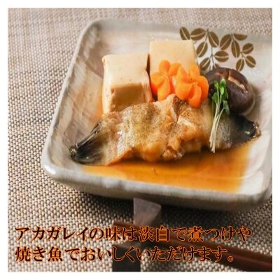 北海道 豊浦 噴火湾 水揚げ 生アカガレイ 約4kg TYUO078