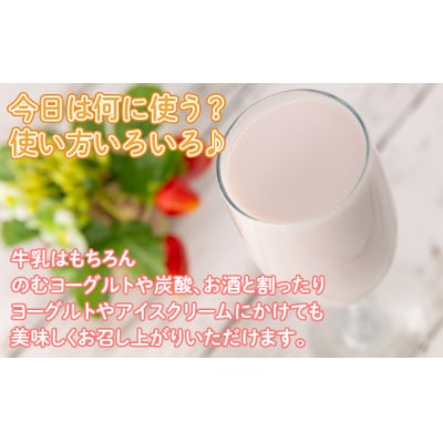 マンマ 手作り いちごみるくのもと3個とジャム3個セット 豊浦産 いちご TYUJ003