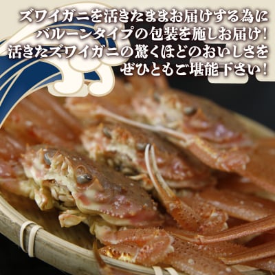 【先行受付】北海道 豊浦 噴火湾 ズワイガニ メス 約1.5～2kg(8～10尾) TYUR040