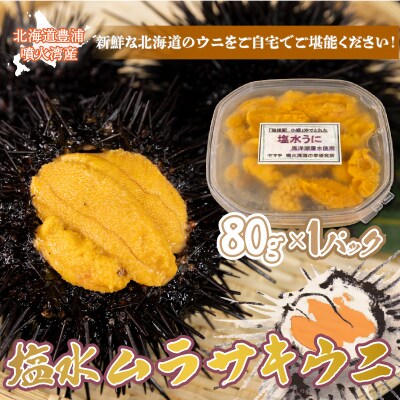 ※先行受付 うに 塩水ムラサキウニ 80g 北海道豊浦 噴火湾【配送不可地域:離島】 TYUR020