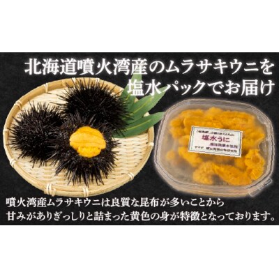 先行受付 うに 塩水ムラサキウニ 80g×3 北海道豊浦 噴火湾【配送不可地域:離島】TYUR022