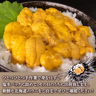 先行受付 うに 塩水ムラサキウニ 80g×3 北海道豊浦 噴火湾【配送不可地域:離島】TYUR022