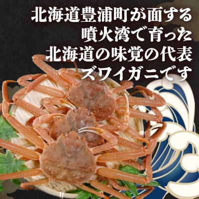 【訳あり】 北海道 豊浦 噴火湾 ズワイガニ 約1.5～2kg(3～5尾) TYUR041
